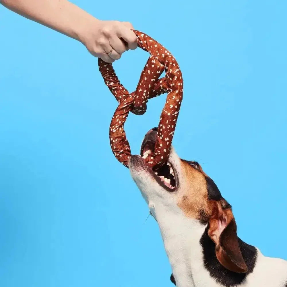 BARK Paula's Park Slope Pretzel Plush Dog Toy - Talis Us