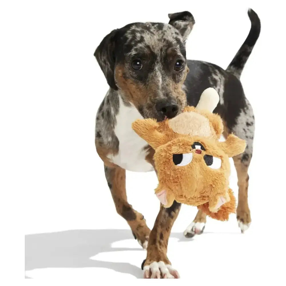 BARK Pearl Squirrel Plush Dog Toy - Talis Us