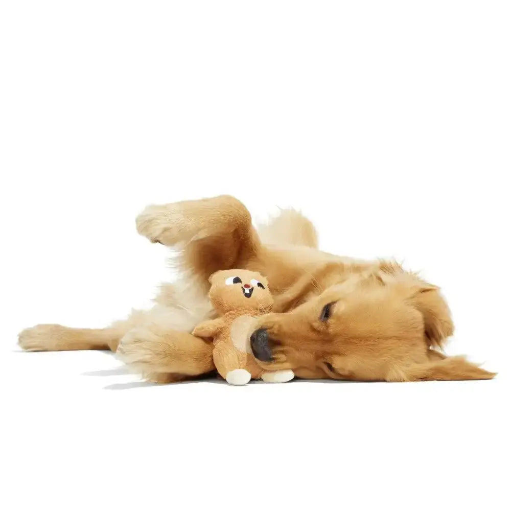 BARK Pearl Squirrel Plush Dog Toy - Talis Us