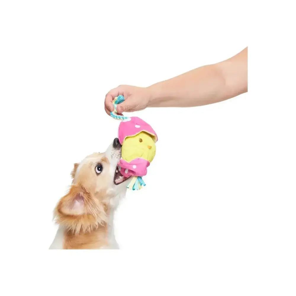 BARK Peep - A - Bird Plush Dog Toy - Talis Us
