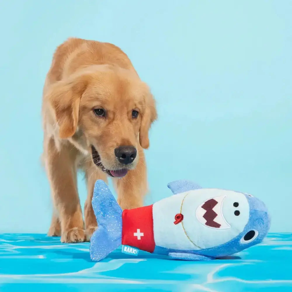 BARK Pool Shark Shane Plush Dog Toy - Talis Us