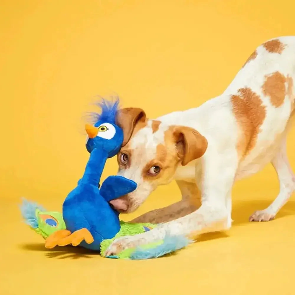 BARK Pop Peacock Dog Toys - Talis Us
