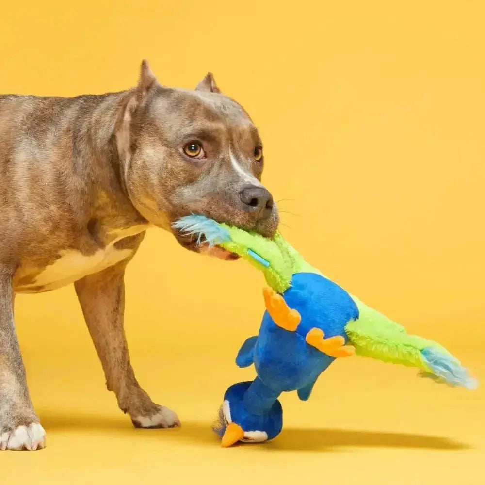 BARK Pop Peacock Dog Toys - Talis Us