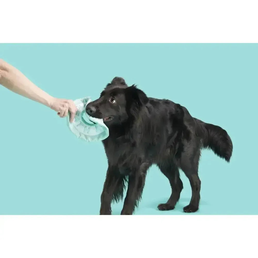 BARK Puppy Breath Mint Dog Toys - Talis Us