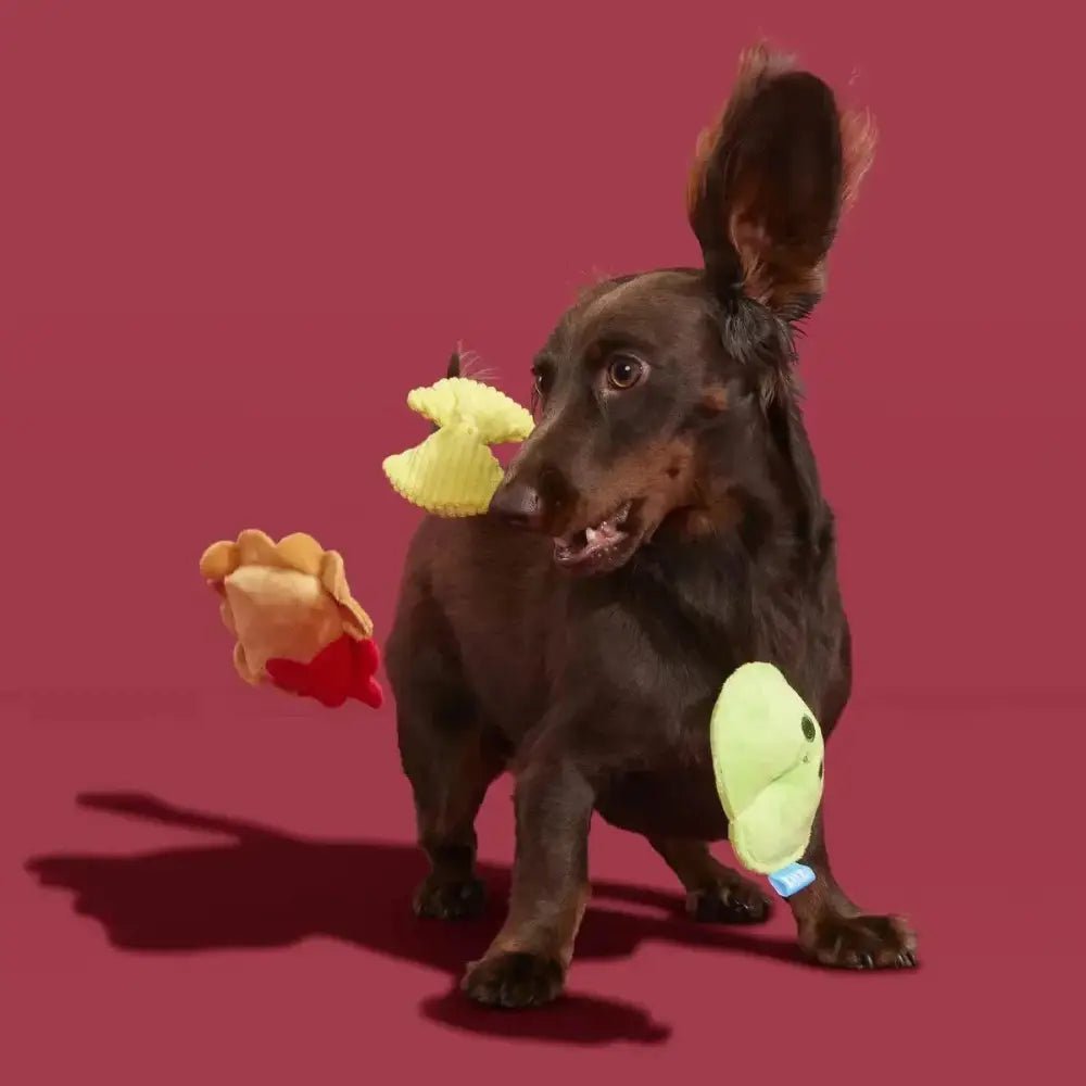 BARK Ravioli Homies Plush Dog Toy - Talis Us