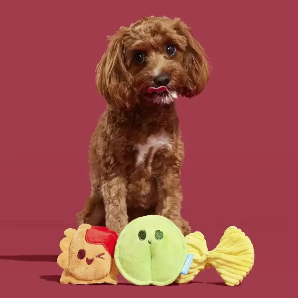 BARK Ravioli Homies Plush Dog Toy - Talis Us