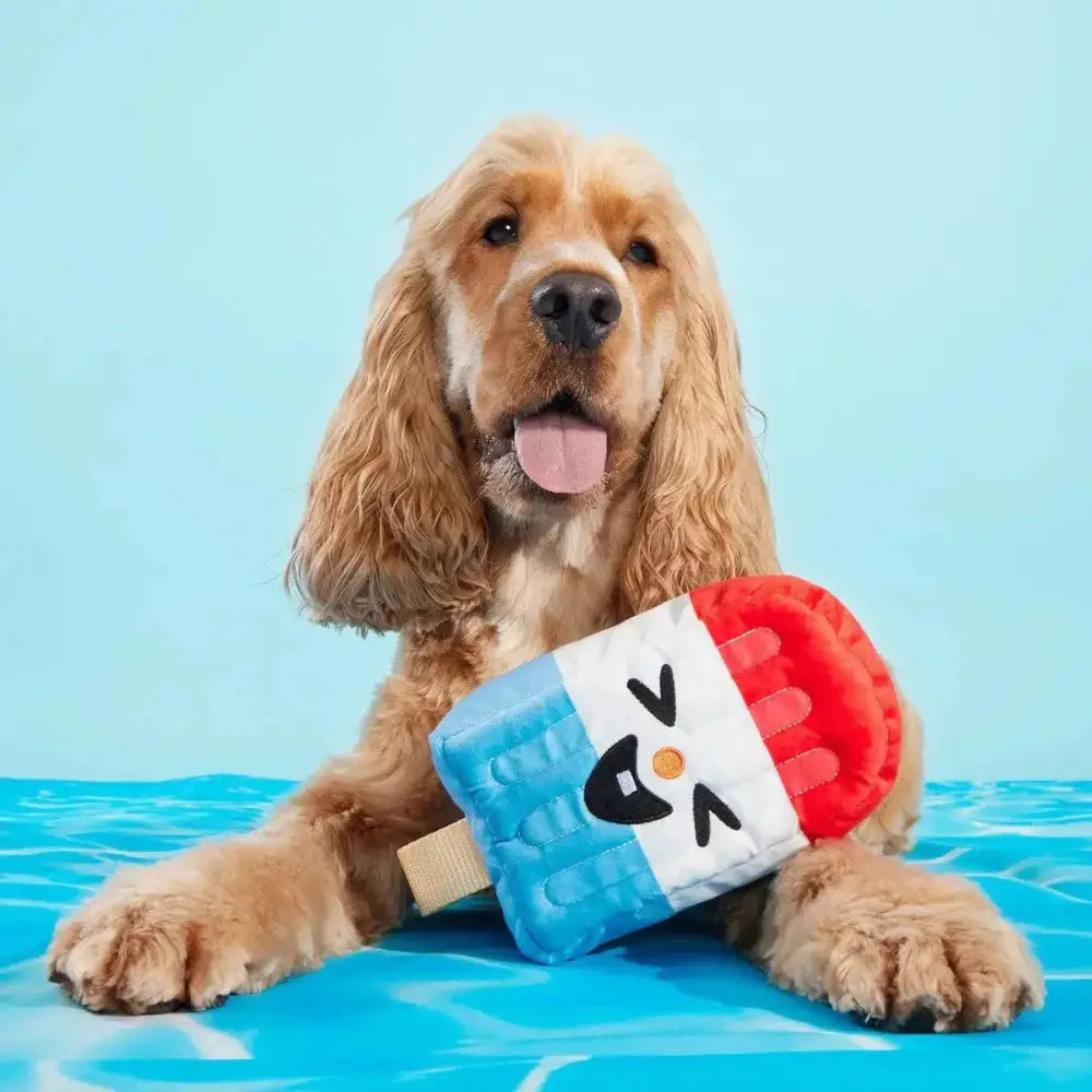 BARK Rocket Droolsicle Plush Dog Toy - Talis Us