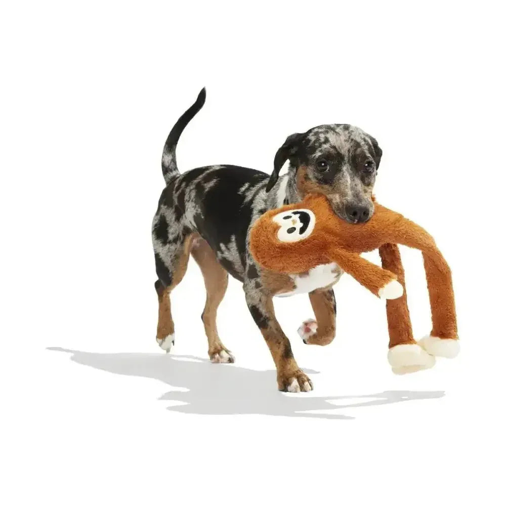 BARK Sasquatch Josh Plush Dog Toy - Talis Us