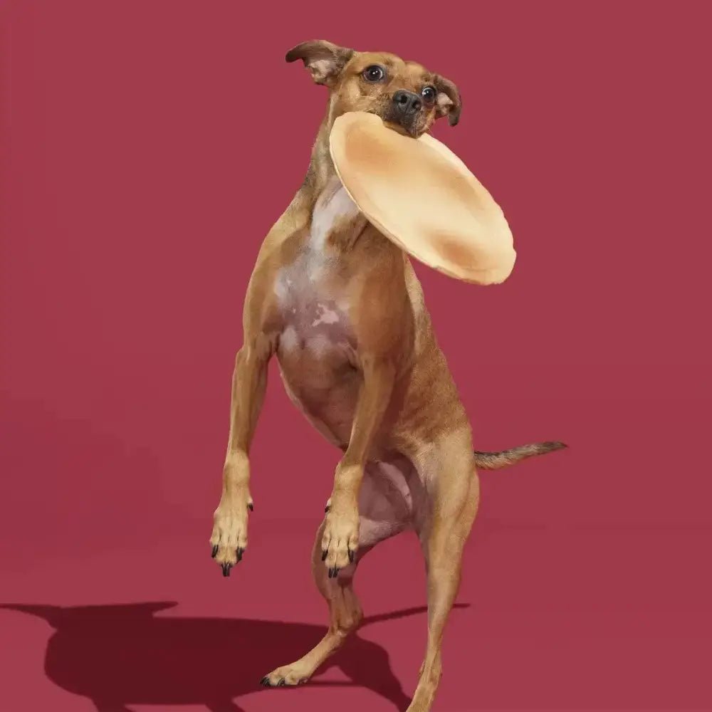 BARK Signore Pizza Face Plush Dog Toy - Talis Us