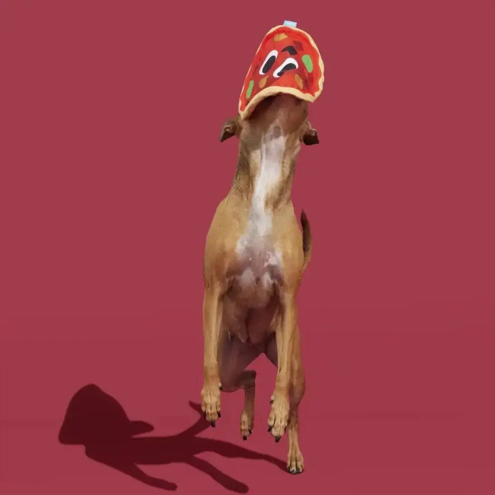 BARK Signore Pizza Face Plush Dog Toy - Talis Us