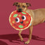 BARK Signore Pizza Face Plush Dog Toy - Talis Us