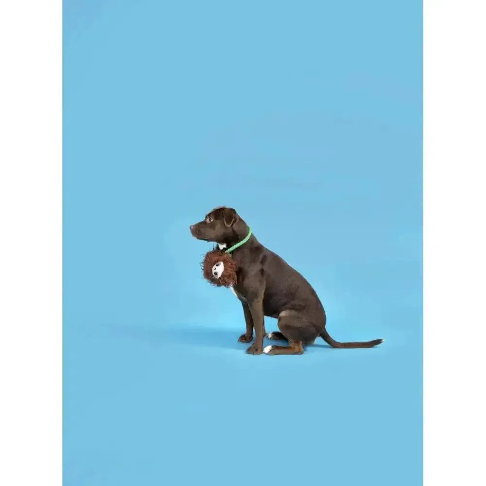 BARK Slo - Mo Beau Dog Toys - Talis Us