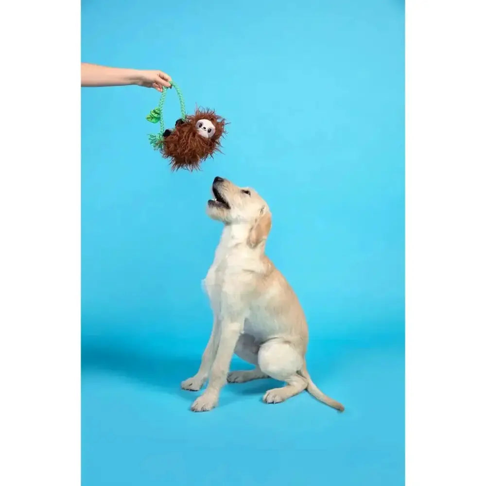 BARK Slo - Mo Beau Dog Toys - Talis Us