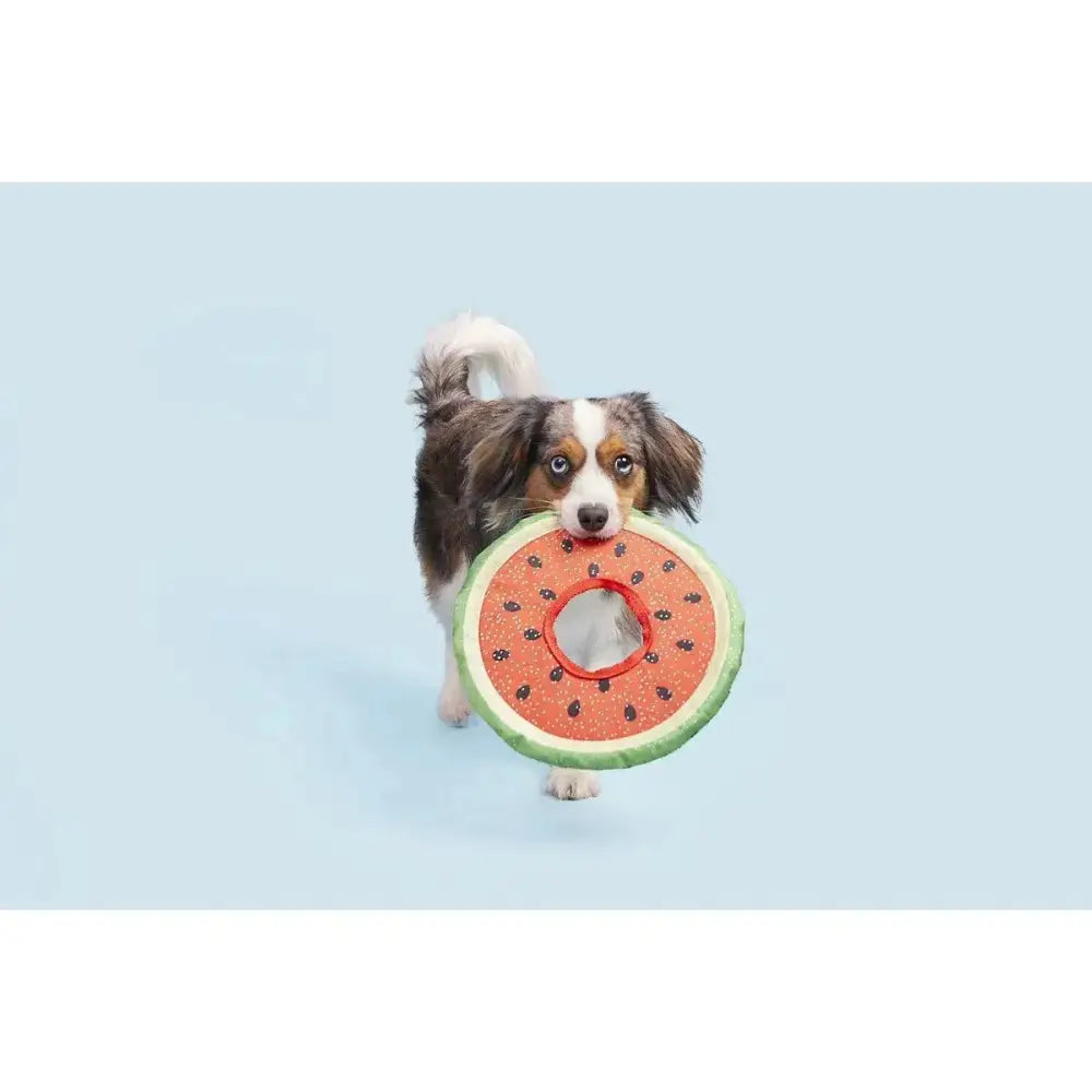BARK Slobbermelon Fetch Dog Toy - Talis Us