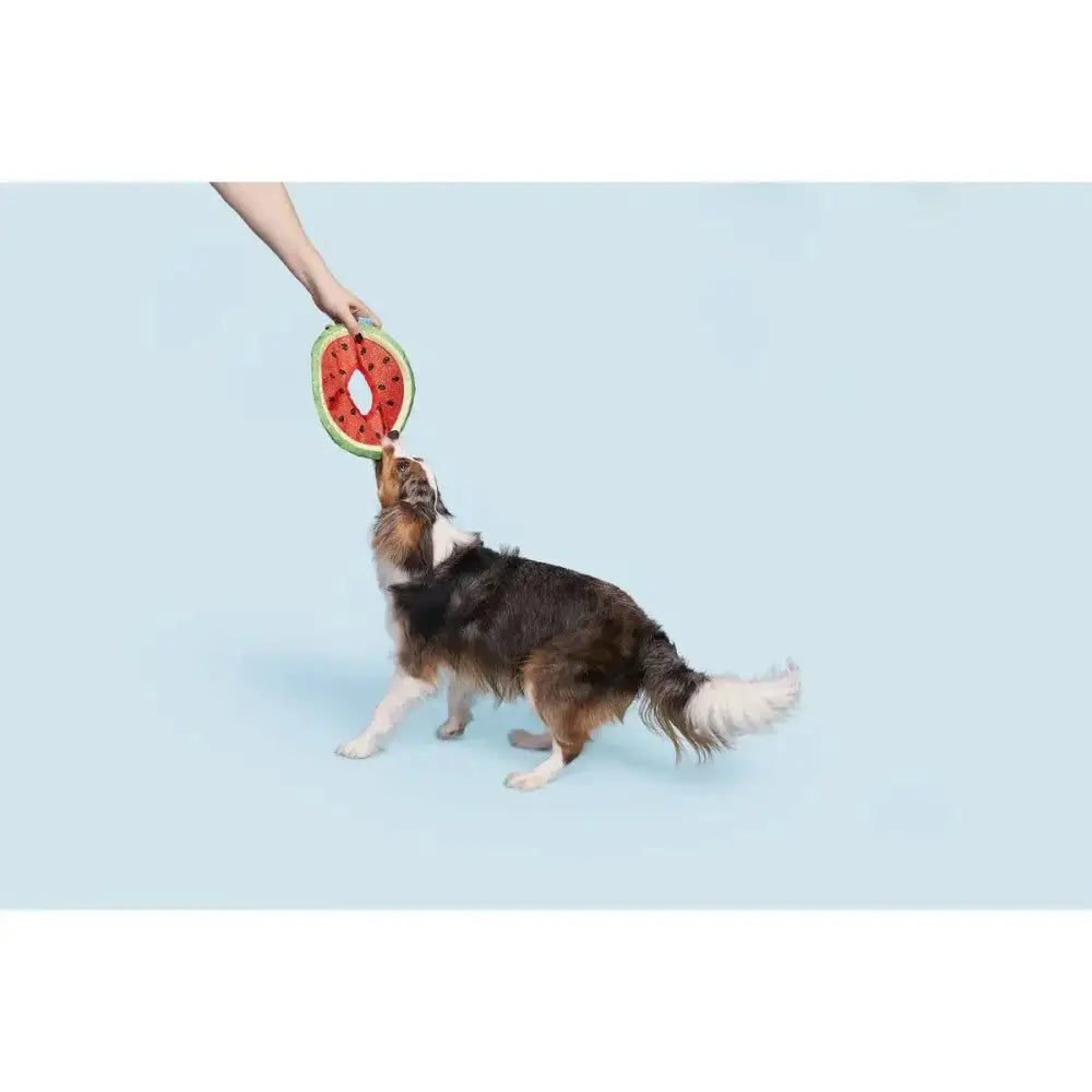 BARK Slobbermelon Fetch Dog Toy - Talis Us