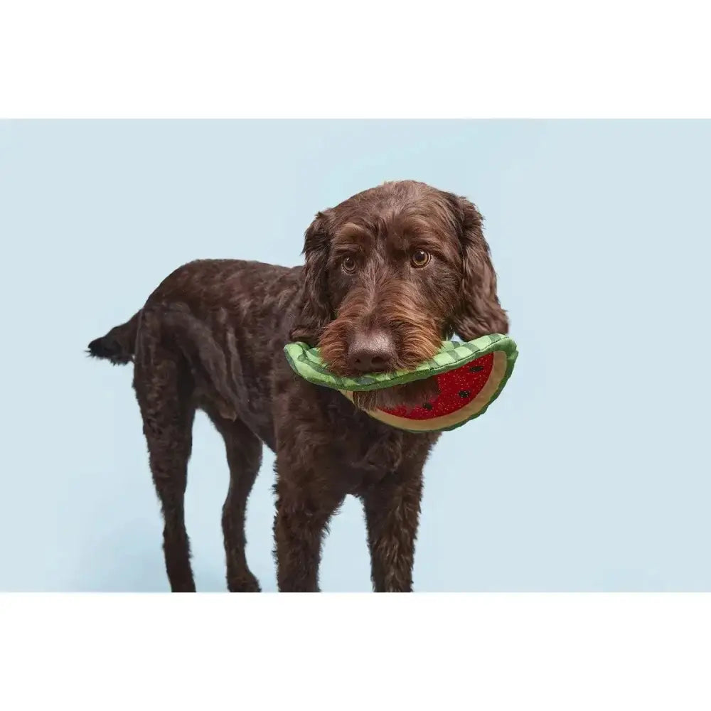 BARK Slobbermelon Fetch Dog Toy - Talis Us
