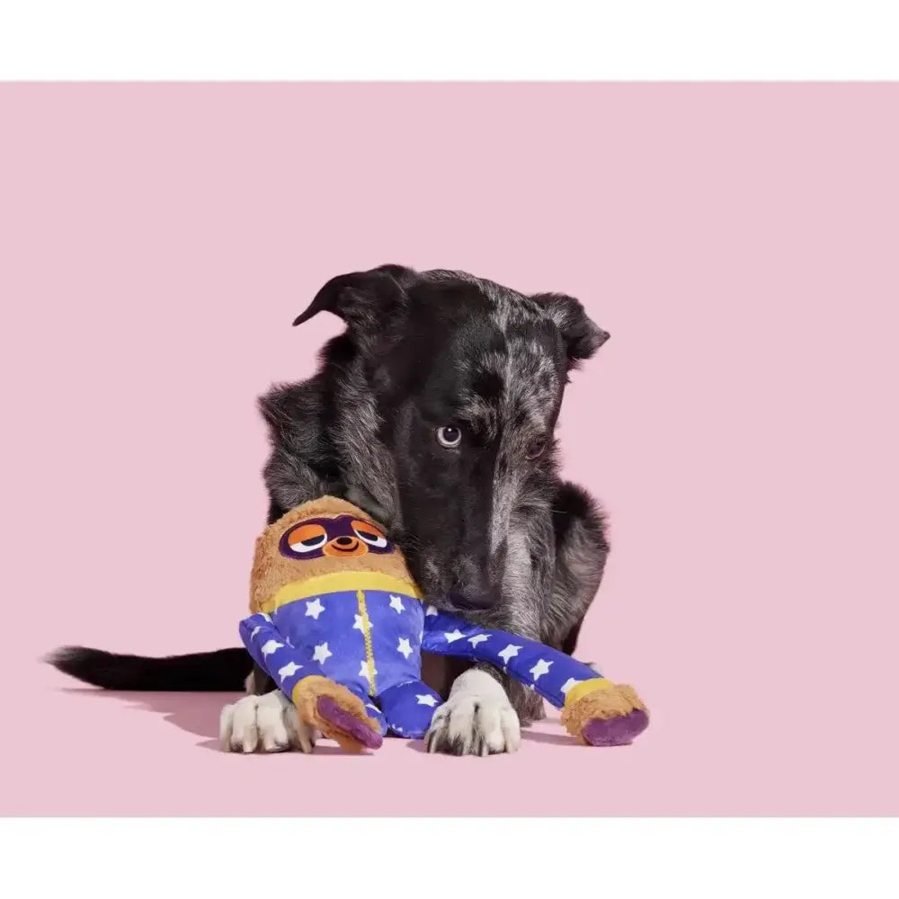 BARK Slow Jams Dan Plush Dog Toy - Talis Us