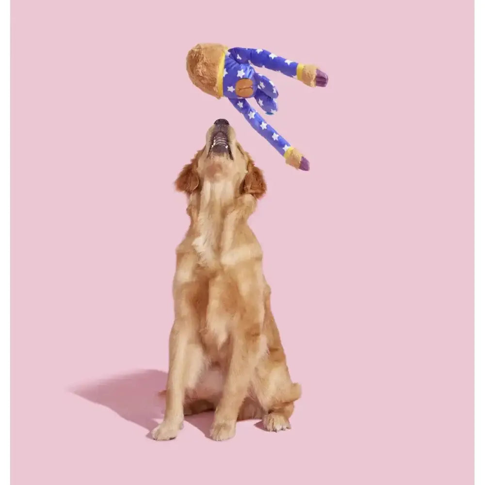 BARK Slow Jams Dan Plush Dog Toy - Talis Us