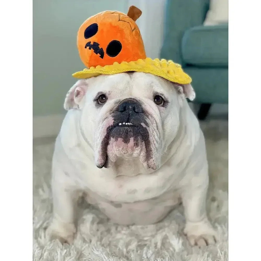 BARK Smashing Pumpkin Plush Dog Toy - Talis Us