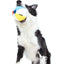 BARK Spike the Beachball Super Chewer Dog Toy - Talis Us
