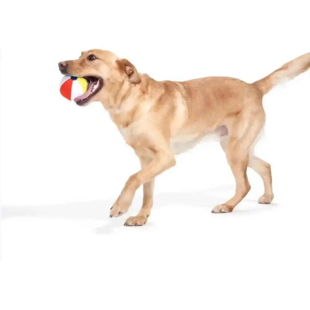 BARK Spike the Beachball Super Chewer Dog Toy - Talis Us