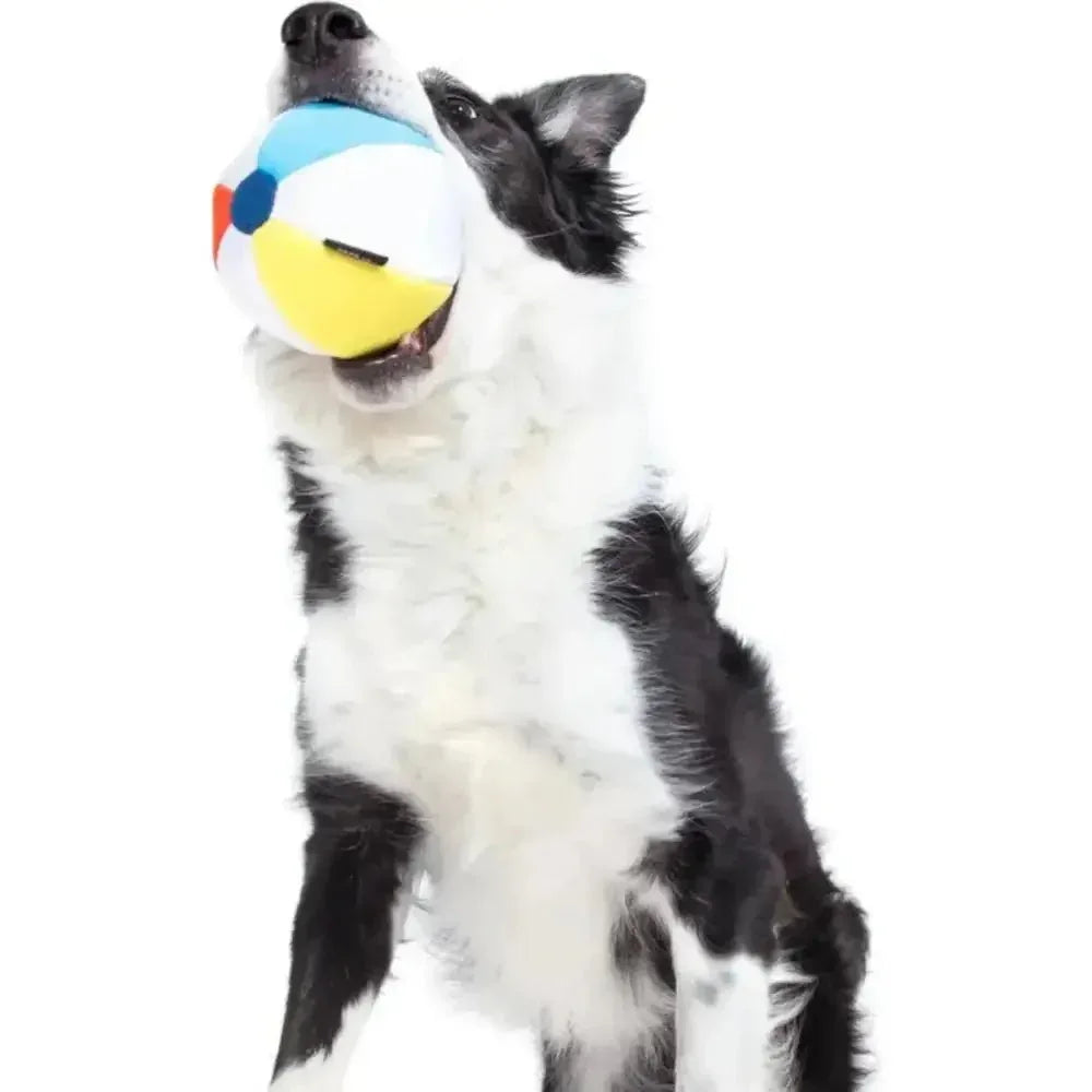 BARK Spike the Beachball Super Chewer Dog Toy - Talis Us