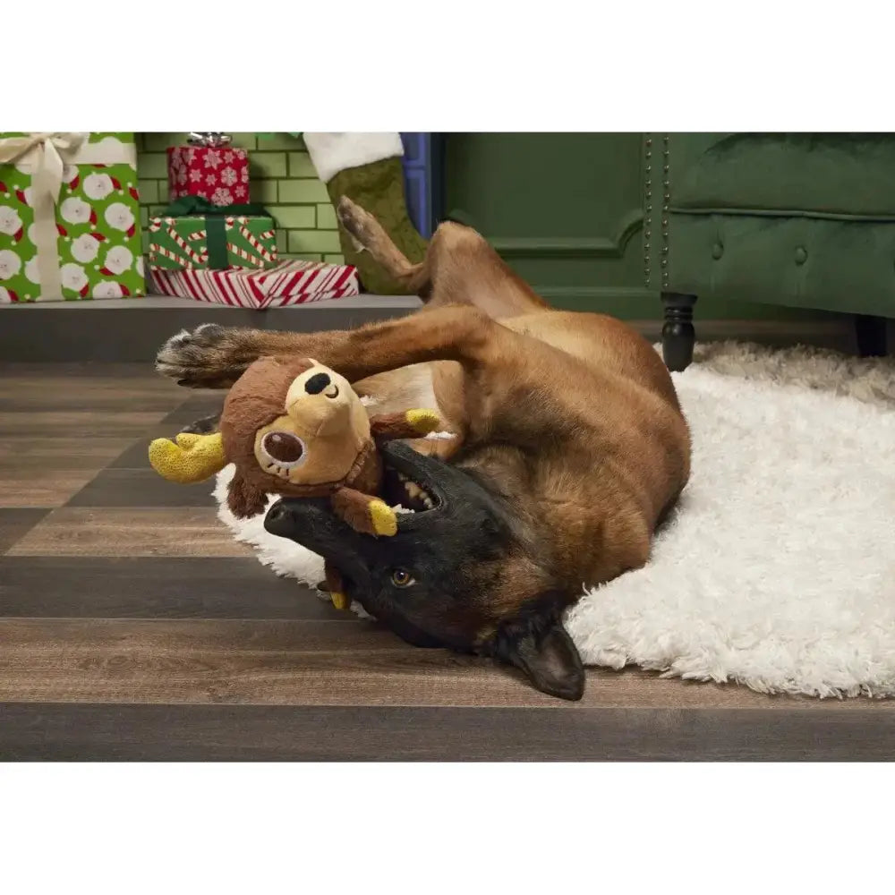 BARK Splootdolph Plush Dog Toy - Talis Us