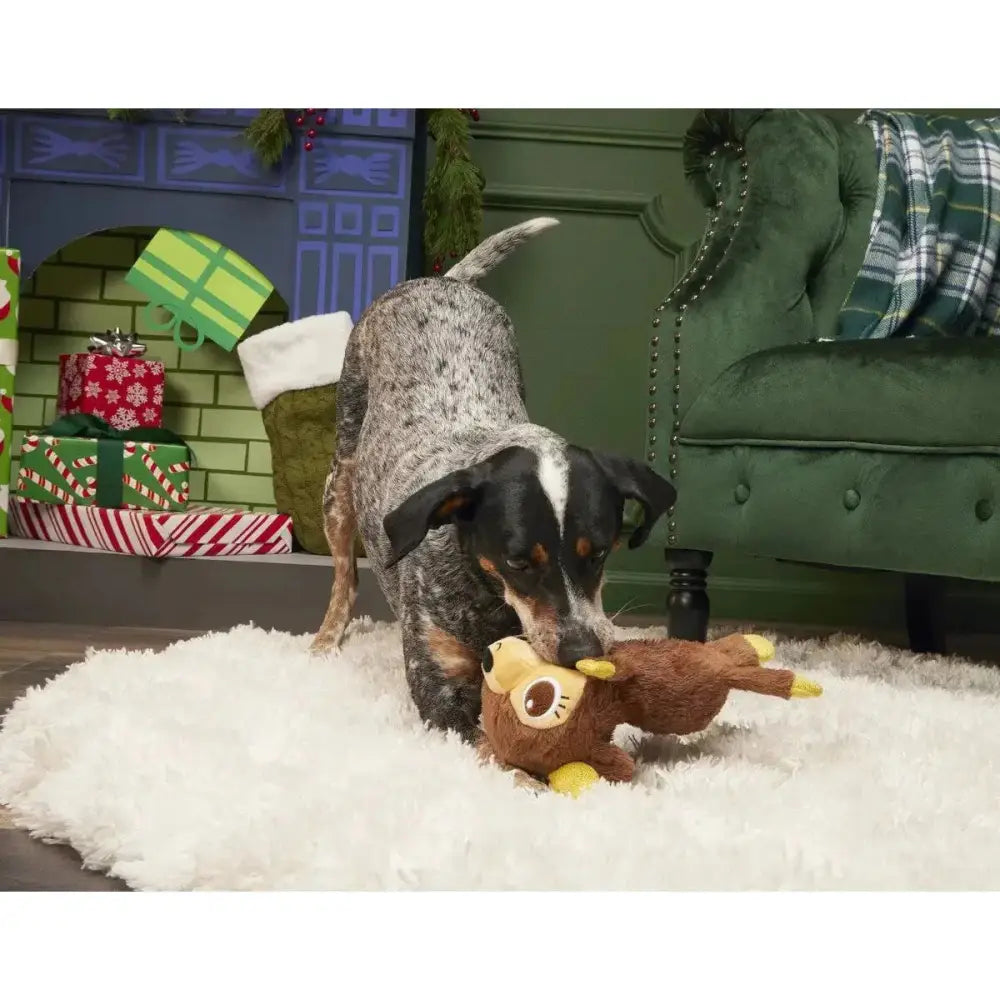 BARK Splootdolph Plush Dog Toy - Talis Us