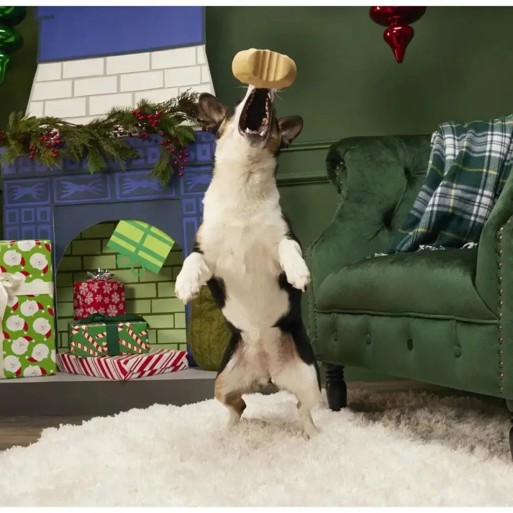 BARK St. Nibblas's Cookie Super Chewer Dog Toy Medium / Large - Talis Us