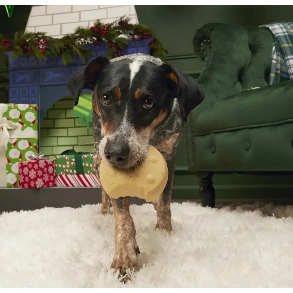 BARK St. Nibblas's Cookie Super Chewer Dog Toy Medium / Large - Talis Us