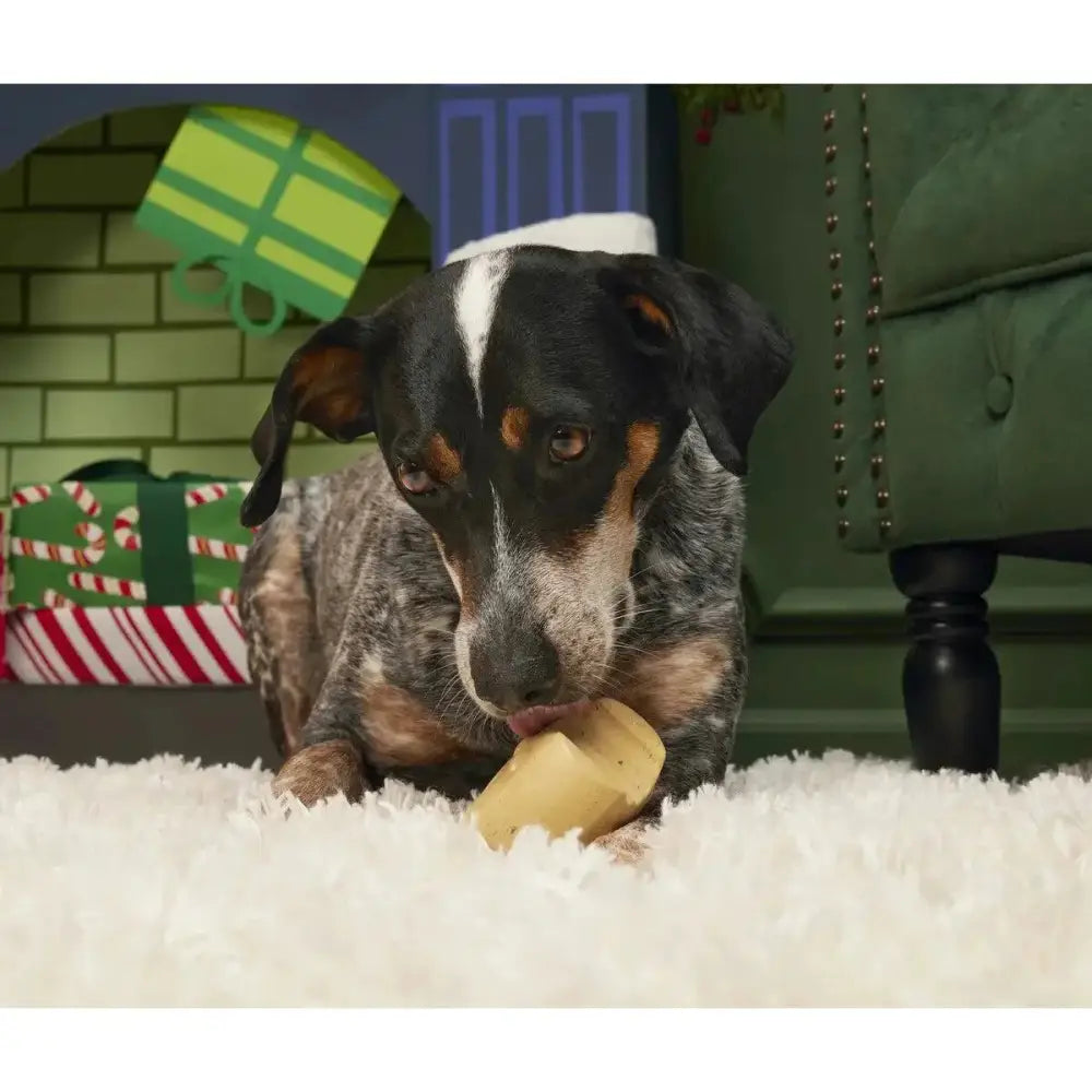 BARK St. Nibblas's Cookie Super Chewer Dog Toy Medium / Large - Talis Us