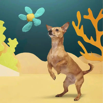 BARK Stevie Sea Turtle Crinkly Squeaky Plush Dog Toy - Talis Us