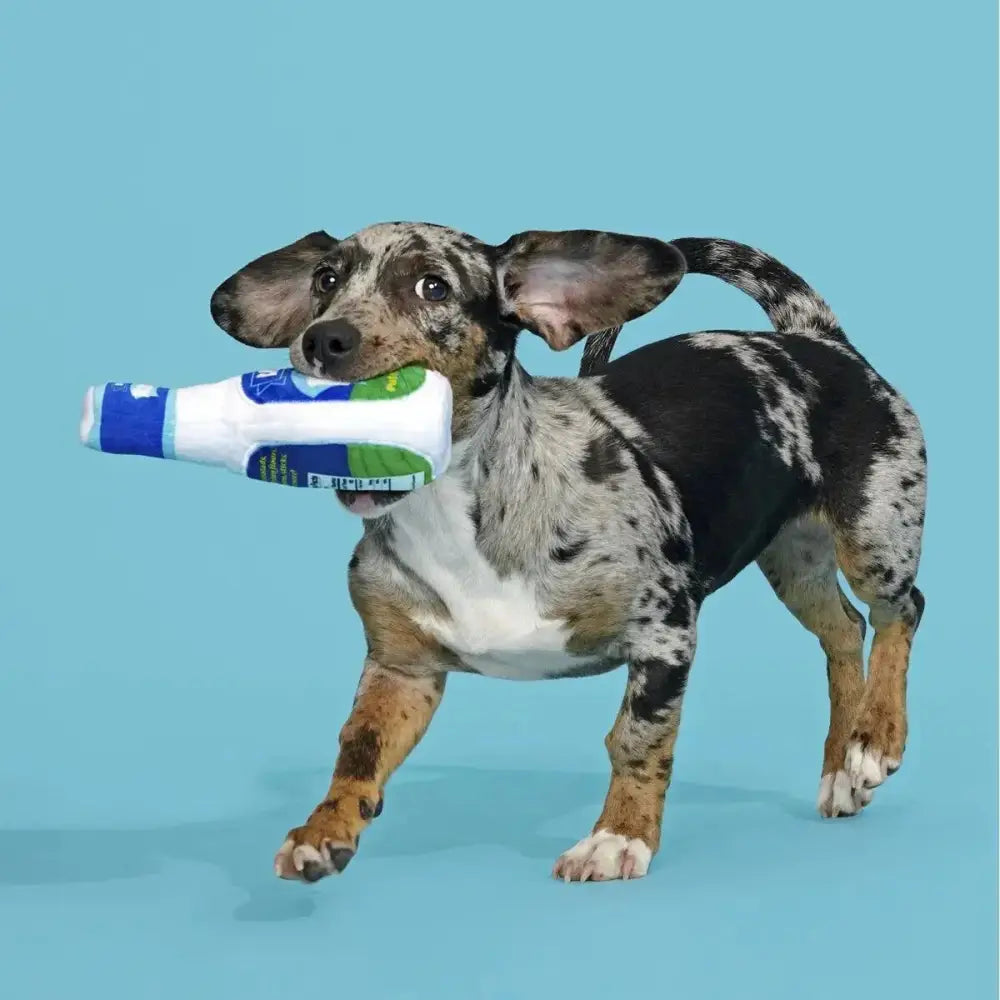 BARK Stinky Valley Ranch Plush Dog Toy - Talis Us