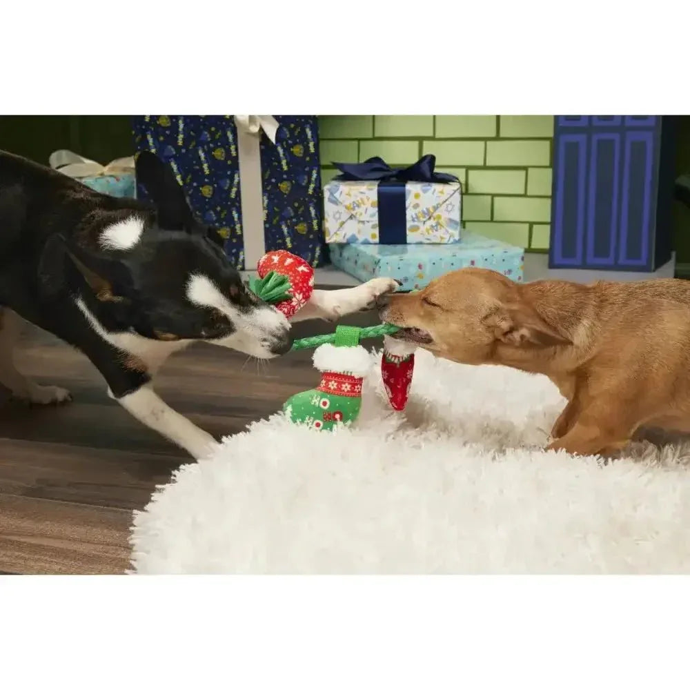 BARK Stocking Tuggers Plush Dog Toy - Talis Us