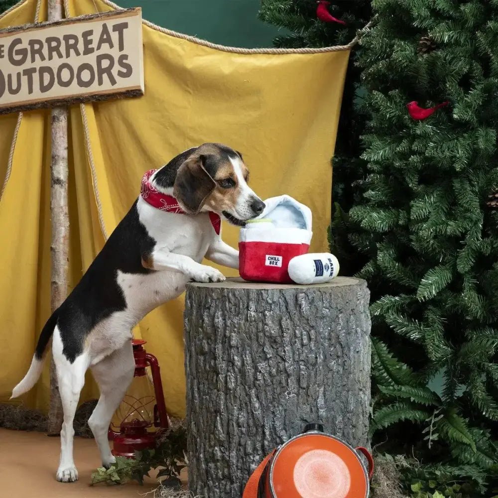 BARK Sub - Zero Camping Hero Plush Dog Toy - Talis Us