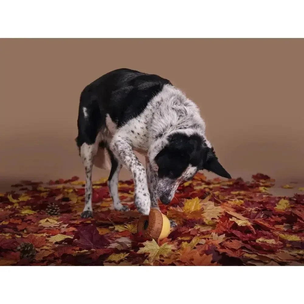 BARK Super Chewer Acornucopia Dog Chew Toys Large - Talis Us