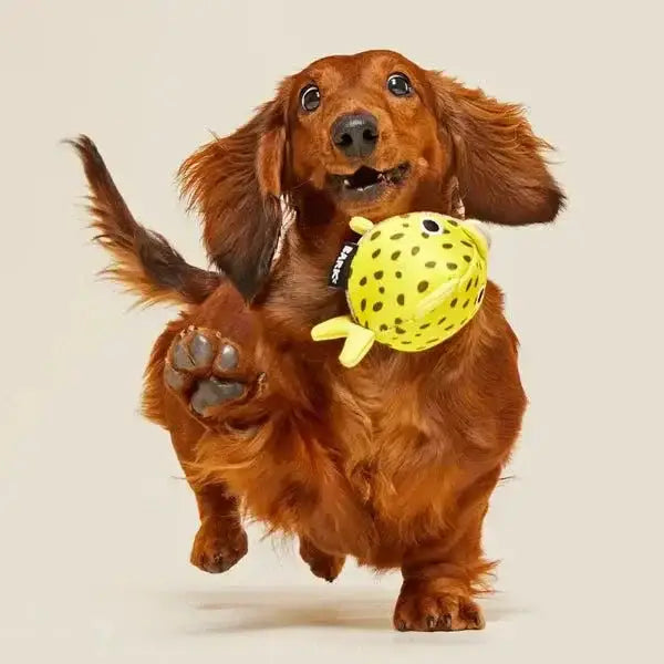 BARK Super Chewer Blowfetch Dog Chew Toy - Talis Us