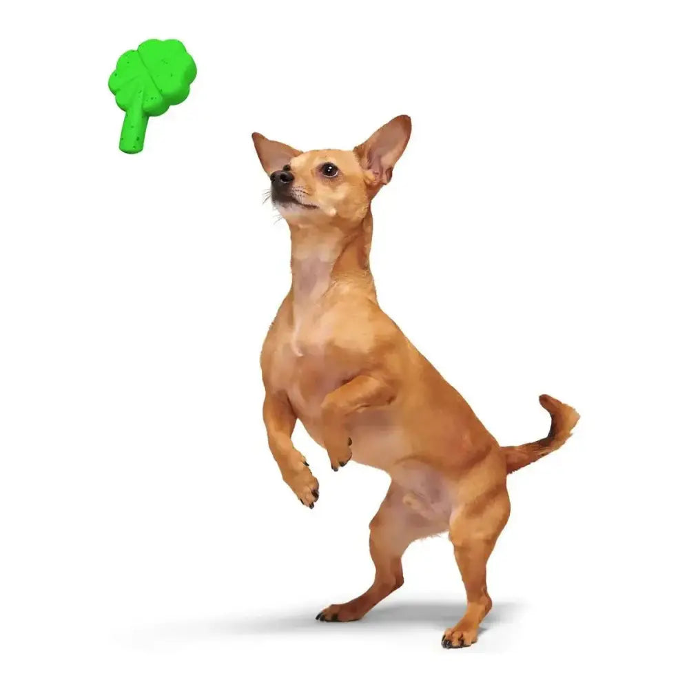 BARK Super Chewer Fur Leaf Clover St. Patrick's Day Dog Toy - Talis Us