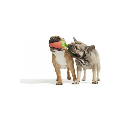 BARK Super Chewer Habanero Pupper Dog Chew Toy - Talis Us