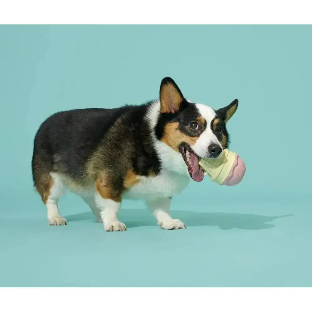 BARK Super Chewer I - Squeak Cone Dog Toy Medium - Large - Talis Us