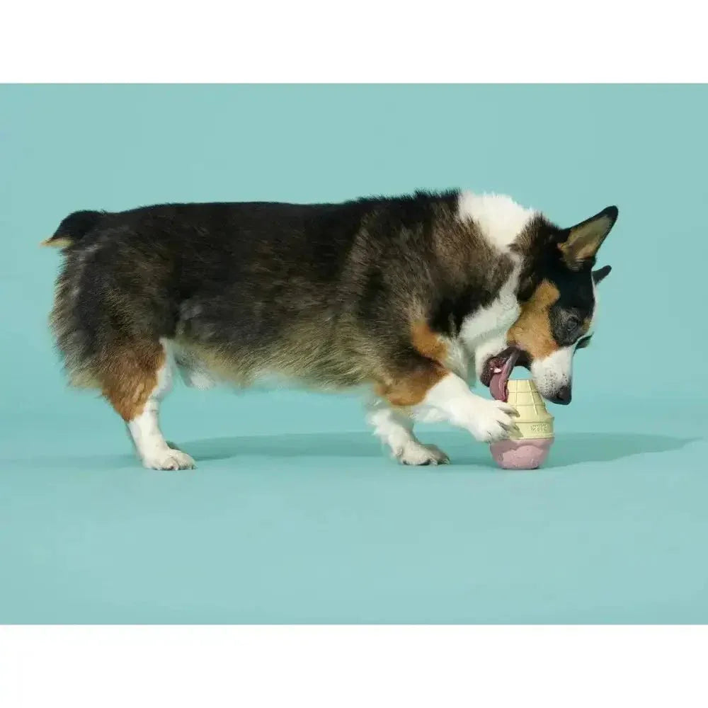 BARK Super Chewer I - Squeak Cone Dog Toy Medium - Large - Talis Us