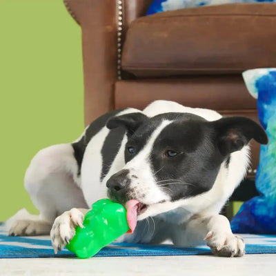 BARK Super Chewer Munchie The Bear Dog Chew Toy - Talis Us