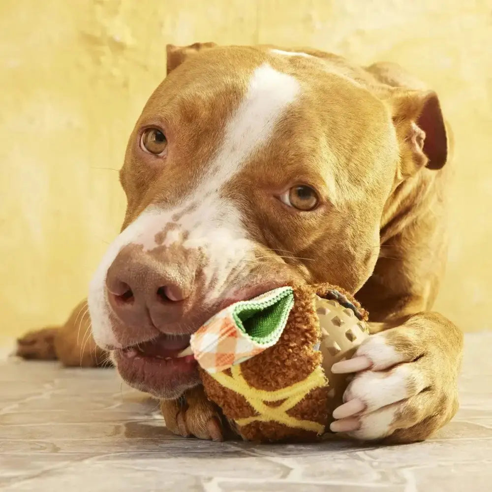 BARK Super Chewer A Squeaky Meat - A - Ball Dog Chew Toy - Talis Us