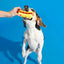 BARK Super Chewer Treat Meat Hot Dog Dog Chew Toy - Talis Us