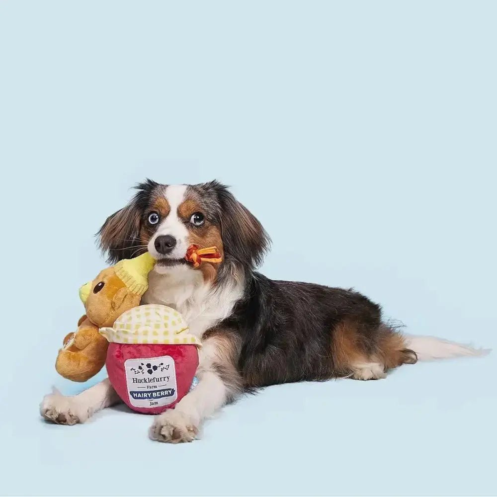 BARK That's My Jam, Honey Plush Dog Toy - Talis Us