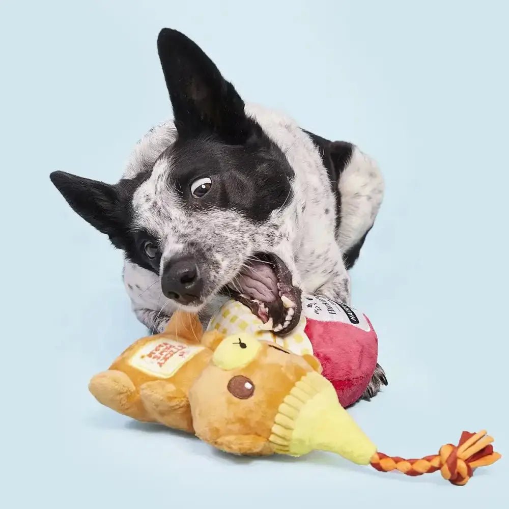 BARK That's My Jam, Honey Plush Dog Toy - Talis Us