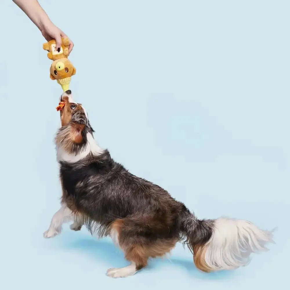 BARK That's My Jam, Honey Plush Dog Toy - Talis Us