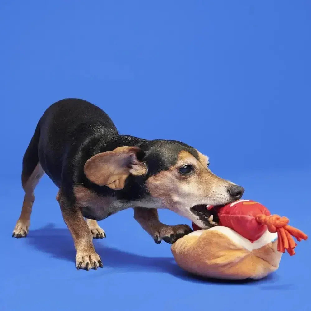 BARK The Everything Dog Fourth Of July BBQ Plush Dog Toy - Talis Us
