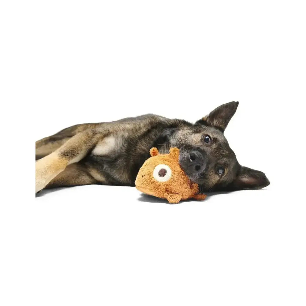 BARK Tinkles The Gerbil Dog Toys - Talis Us