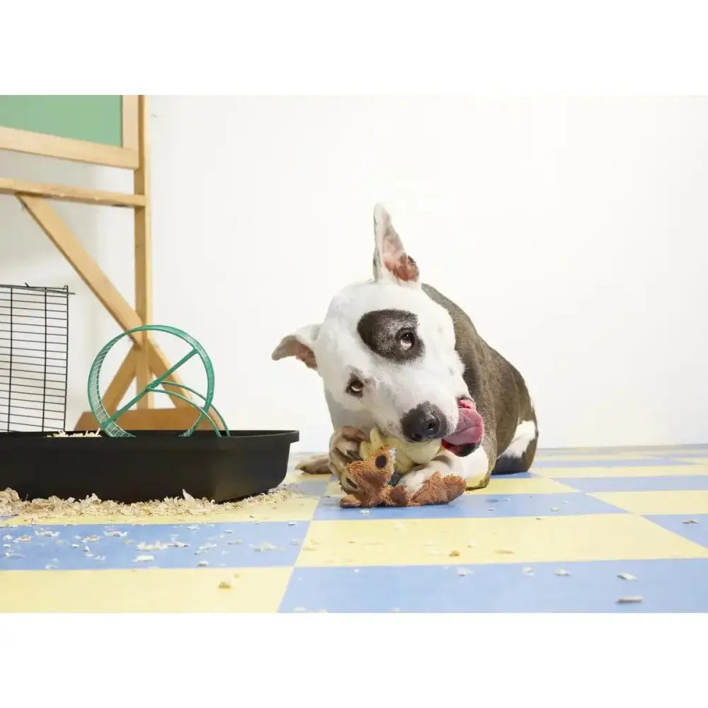 BARK Tinkles The Gerbil Dog Toys - Talis Us